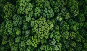 Illumina reconhecida como empresa sustentável pela TIME