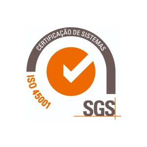 SGS 45001